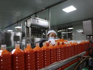 麻江：科技赋能“酸”香致远 龙头企业产销两旺