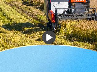 一习话·迈向“十五五”|“加快农业农村现代化步伐”