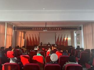 凝心聚力谋部署 笃行实干惠民生——济南市莱芜区张家洼街道计生办召开计划生育工作部署会