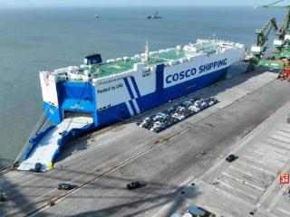 今年首批！福州港近4000辆“福建造”汽车扬帆出海