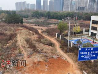 500米路5年未动工，卡哪儿啦？（图）