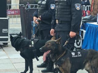 “有事找警察”！安徽“110”去年助民127万起