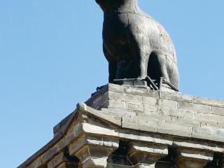 丝路驮来“喵星人”