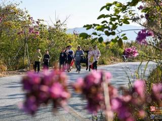 快来福州这里邂逅“粉紫浪漫”！