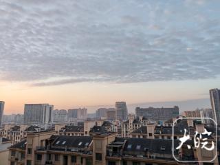 气温“大踏步”回暖！ 1月12日合肥市最高气温17℃