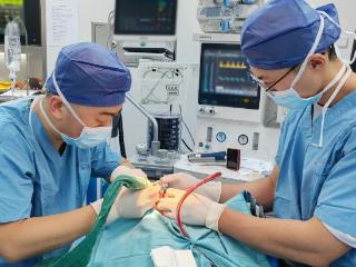 3D数字化导板导航，精准定位拔除口腔里的 "不速之客”