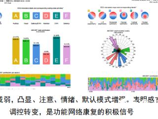 从“静默”到“可测” 遵医附院神经外科为意识障碍患者点亮神经导航明灯