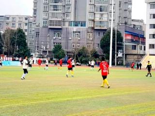 村超安顺赛区赛场再掀热潮：普定平坝绿茵对决