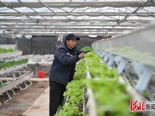 四中全会精神在基层｜颜值产值“双在线” 和美乡村日子甜