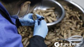 贵州都匀:冲“鸭”！都匀茶香鸭拼出“开门红”