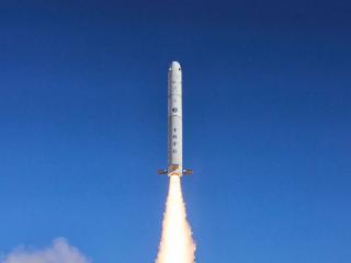 南阳月季“飞上天”，进入太空育种新阶段