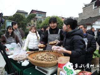 2026“和美乡村·数商兴农”村播助农行尚嵇镇专场直播助农活动开播