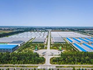 星光耀征程|从一粒种子，看见潍坊的明天！