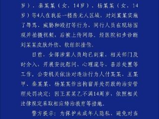 内蒙古五原县警方通报13岁女生校外被殴打：涉案人员均已到案