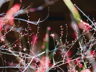 继续升温，今年杭州三九不冷四九冷，气温像蹦迪