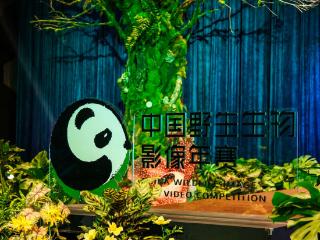 2025中国野生生物影像年赛揭晓年度奖项