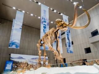 伊通河畔寻踪 与冰河巨兽赴万年之约