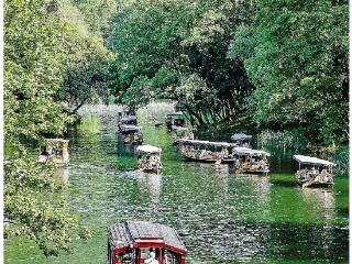 “最热”春节假期来了！旅游预订进入高峰，有望刷新纪录