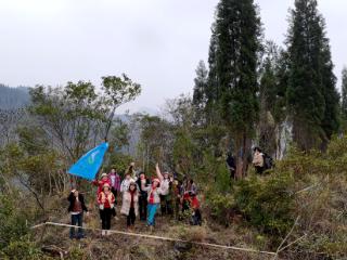 普定县本杰村首届椪柑节举行 徒步采摘带热冬日乡村