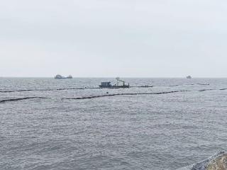 为“海底森林”筑牢绿色屏障