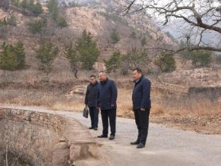 莒南法院党组书记、院长金宏到涝坡镇开展巡林工作