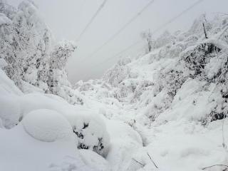 《无惧冰雪》全球首映：一部能源纪录片， 如何向世界讲述“中国故事”