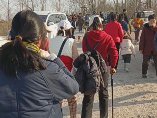 春申君墓旁泉眼“出圈”，引市民游客慕名探访