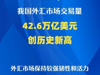 新华鲜报丨多个新高！2025年外汇市场保持韧性与活力