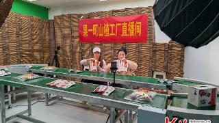 临漳县“一品一播”云销“邺城优品”