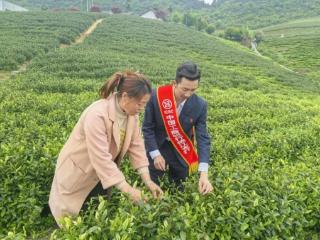 工行铜仁分行：执金融之笔，绘就青绿铜仁新画卷