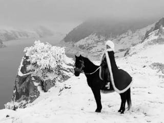 贺娇龙离世遗体送回昭苏 当地花店：“不少人订花追悼，店里已经没有菊花了”
