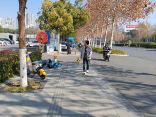 最大积雪20厘米！ 降雪重点影响合肥等9市