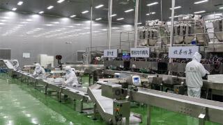 一粒牦牛肉丸的产业振兴梦