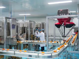 科技赋能保定冰柿产业加速跑