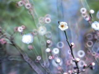 今年首场寒潮已经出发 下周杭州有强降温和雨雪天气