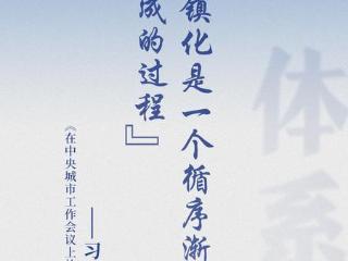 近闻·建设现代化人民城市，总书记这篇文章划重点