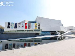 深圳再添文化新地标 鹭湖艺术中心启幕