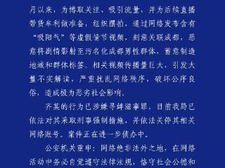 成都警方：男子摆拍“吸阳气”等虚假视频蓄意制造地域和群体标签被采取刑事强制措施