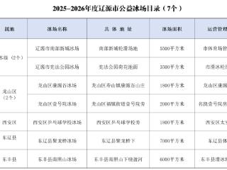 辽源市七处公益冰场全面开放