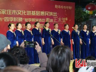 石家庄市新华区“四季村晚”冬季展演圆满落幕