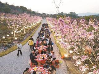 厦门推动农文旅深度融合 从“卖产量”到“卖体验”