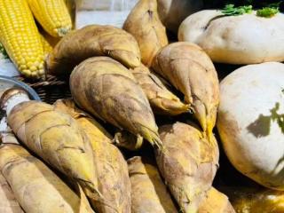 春笋上市了，价格怎么样？