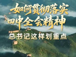 壹视界·微视频丨如何贯彻落实四中全会精神？总书记这样划重点