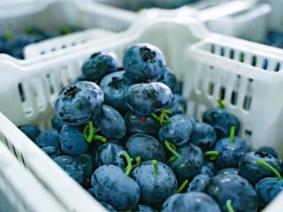 拼多多“千亿扶持”加码“2026年货节”，百亿补贴推出三大重磅补贴