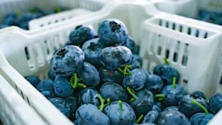 拼多多“千亿扶持”加码“2026年货节”，百亿补贴推出三大重磅补贴