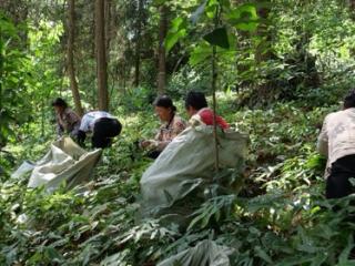 工行铜仁分行：奏响“破局”强音 澎湃金融动能助黔东