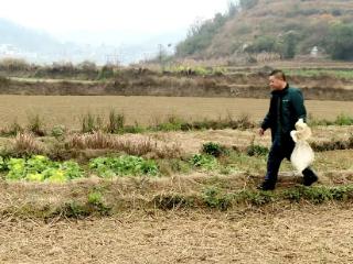 安顺市劳动模范陈发阳：扎根乡土的“普定特产哥” 用邮政电商铺就乡村振兴路