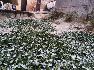 寒潮来临，合肥菜价是否受影响？大皖新闻记者探访合肥菜市场、超市