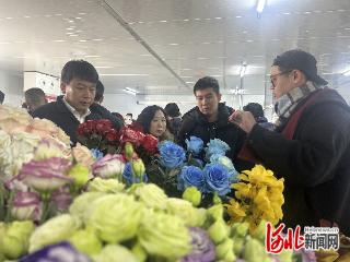 辛集国际鲜花港开仓