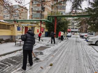 济宁市任城区阜桥街道红星新村社区开展“雪落有暖 路畅心安”志愿服务活动